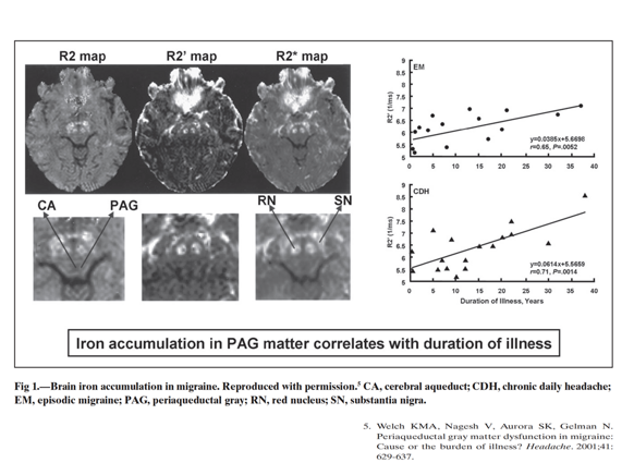 9b54f55a-a707-4f78-91f6-be0100025ffd