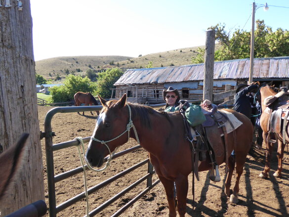 p1000315.jpeg p1000315.jpeg