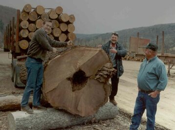 e982a8bc-8495-45b0-9d08-a732988e531a e982a8bc-8495-45b0-9d08-a732988e531a