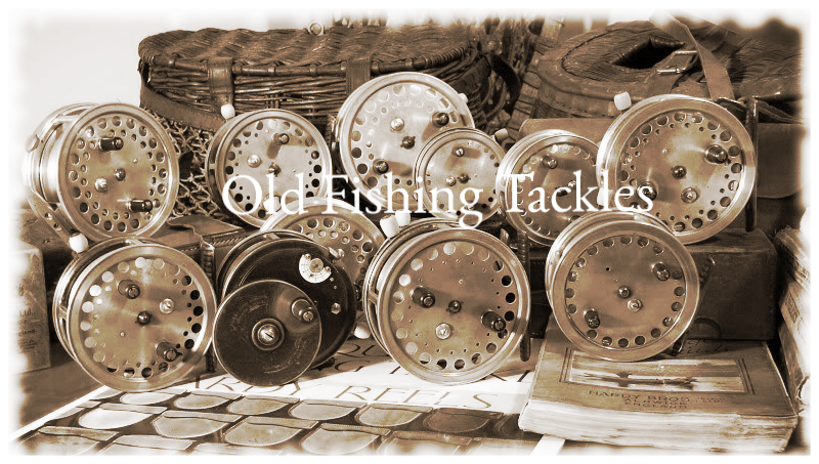 b5a1dd01-62f2-45df-9429-0606acfb533f