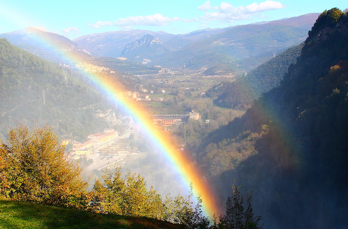 img_0397.jpeg img_0397.jpeg