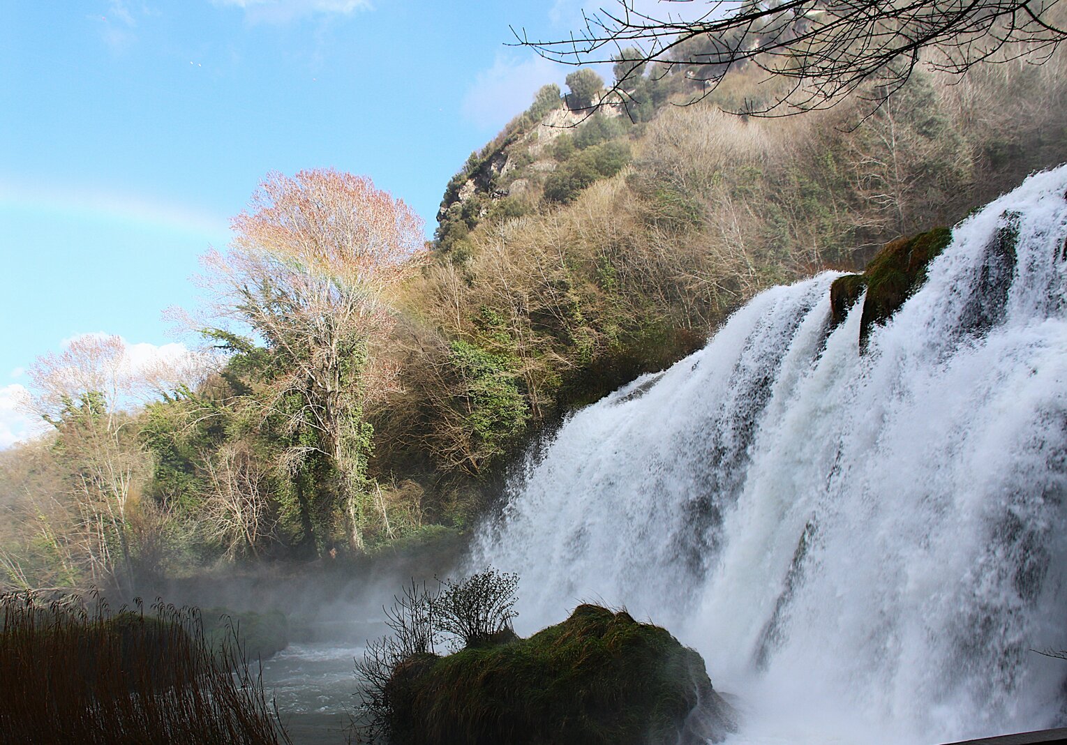 img_2212.jpeg img_2212.jpeg