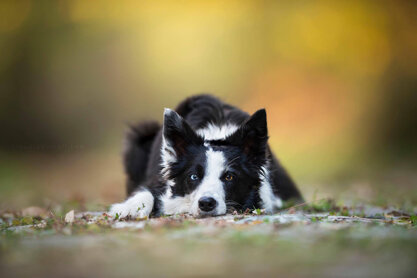 3effd473-cda4-4cbf-965e-9e161928d53f