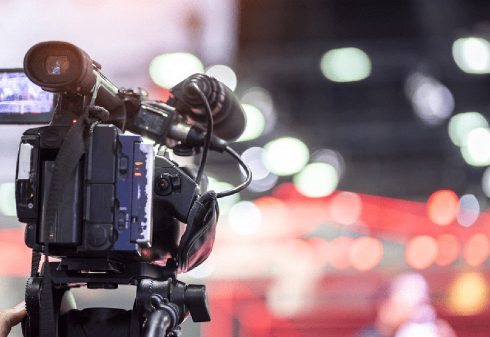 b1bb6b9f-d04d-44d9-8cf8-eb4754131395