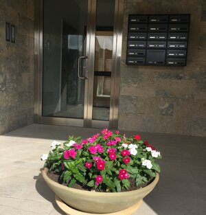 Ingresso nell'edificio