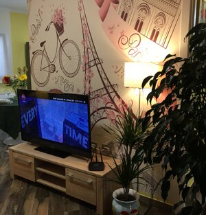 Ingresso in Suite de Paris