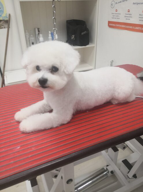 3345e621-5caf-4b40-a3a7-42d9781abe52