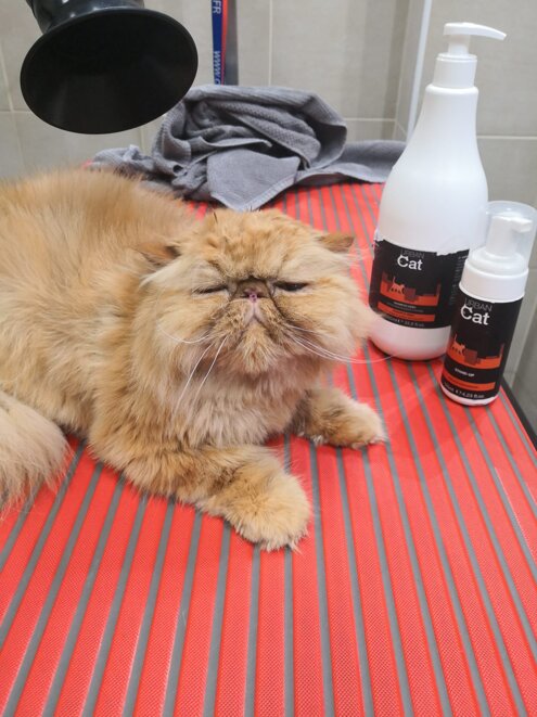 006735eb-dccd-496e-99da-9da3e0f16c24