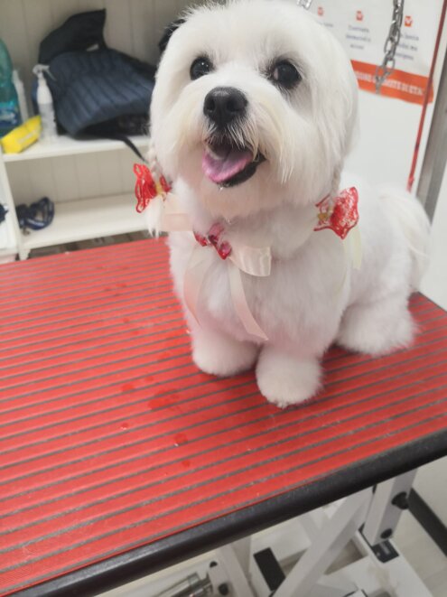 8671dcaf-928e-484e-8dfd-f00431939b8b