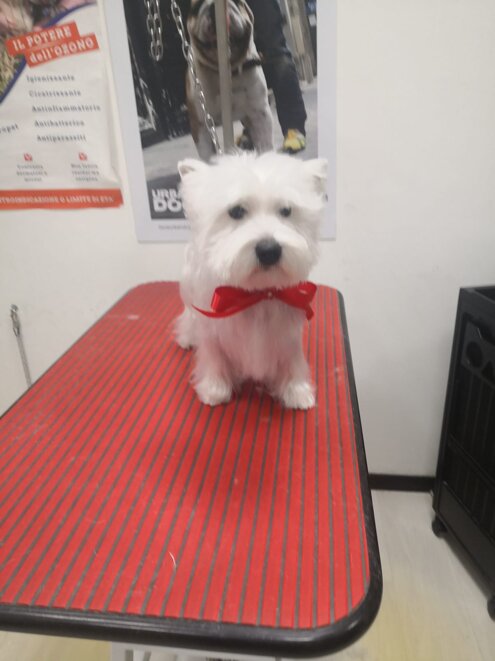 261ec51f-3398-4e69-a03a-1e812201e95b