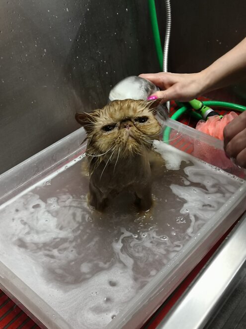 2097c26d-d5f2-4211-b5b8-76ae23f1e69d