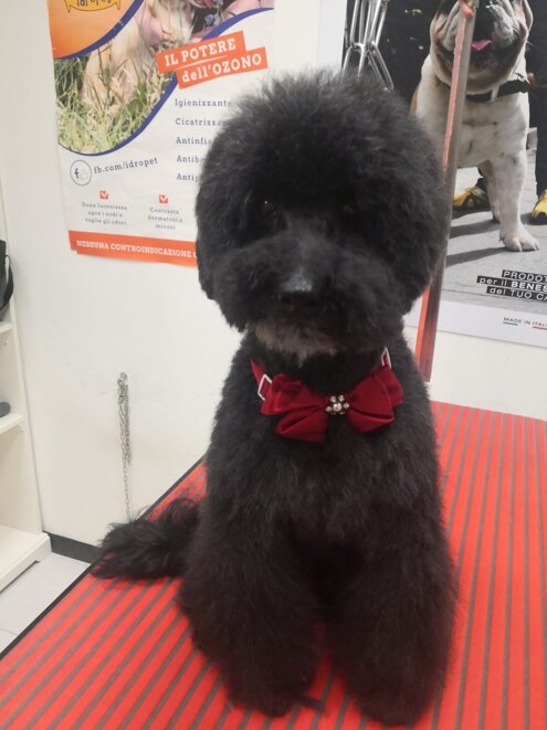 f044c6cf-7b9c-4672-86e3-73a55cd2ccab