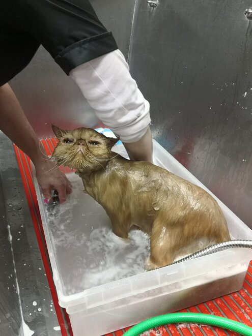 ecf6d305-13a2-4770-890f-faaa7d27782b