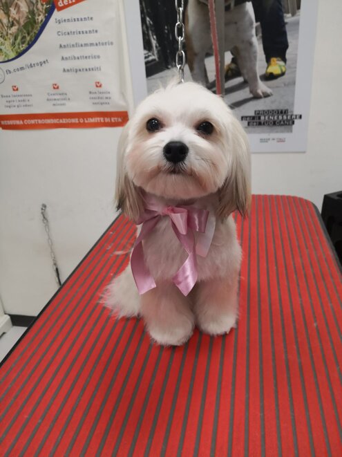 f472ce9a-ac8e-41ac-a872-496b0c4d0be6