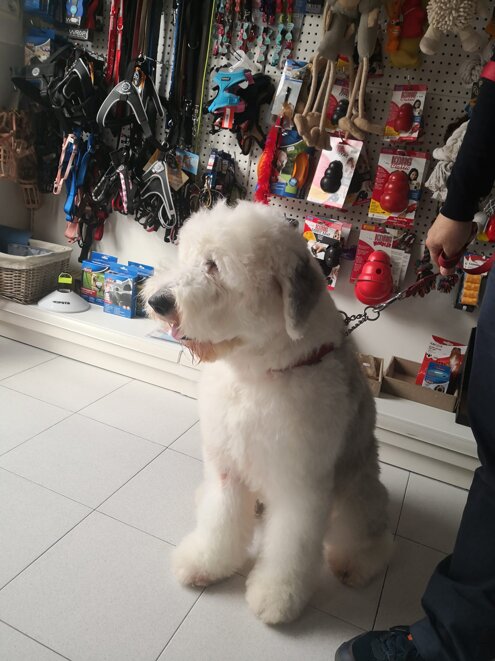 6fe7b8c8-b009-4c28-b23e-3f12ea17d838