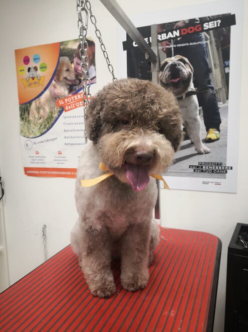 5d518044-70be-4a1a-bdf4-53875f4b47bb