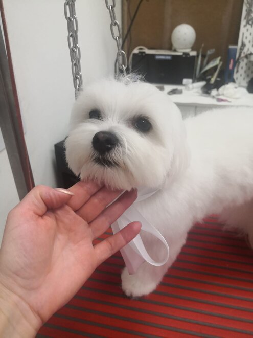 89e8e351-3030-4701-bd63-f67491bbf7b5