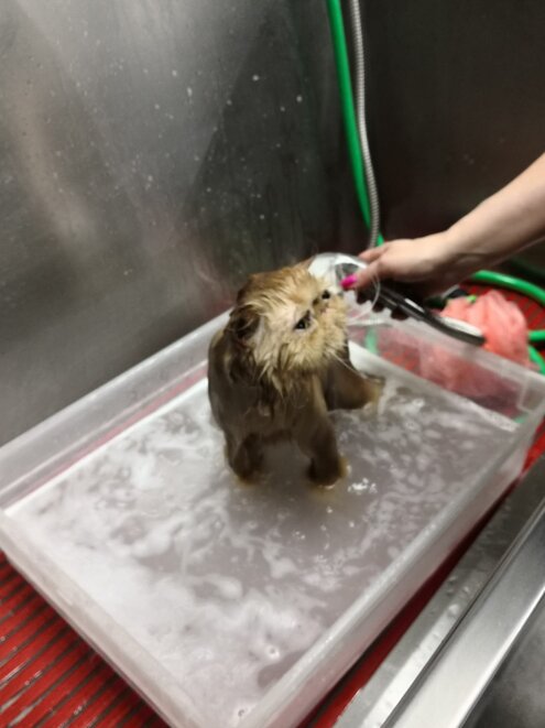 54881d32-bbe0-4167-ae11-99de44a56421