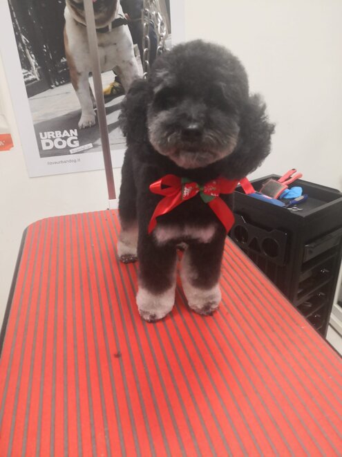 13130061-5111-4401-91c9-a1af9b7eedb1