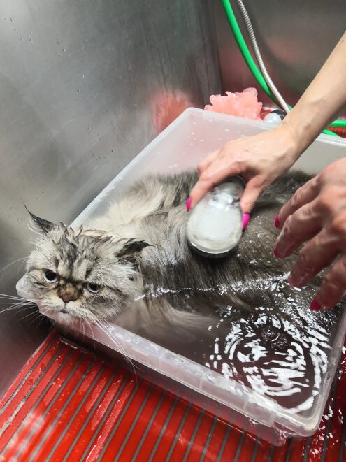 ffa5ce88-f44c-402b-aefd-9d938136d86a