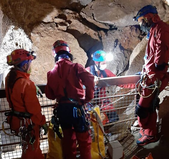 31a8d5f8-613a-418c-9416-3a56f6bd4444