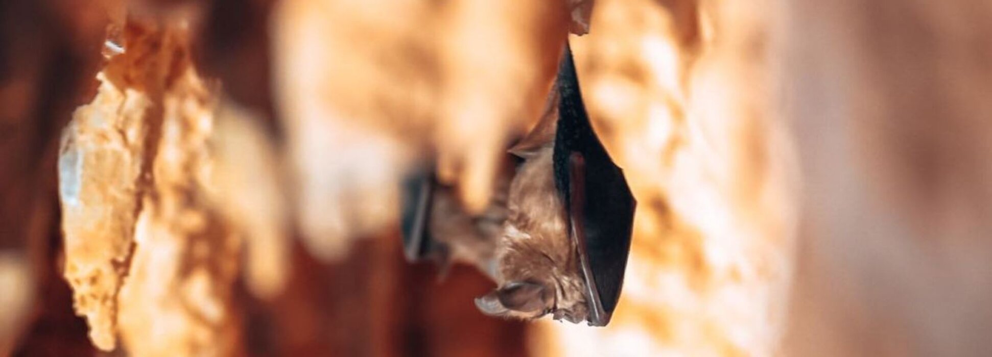 e269c941-2865-4434-a675-ac15ece6c4ac