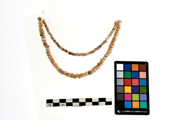 60f4586e-5bf7-46a4-90f6-50c0de0b4eb7 60f4586e-5bf7-46a4-90f6-50c0de0b4eb7