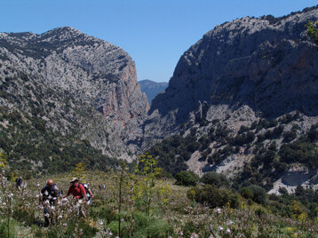 5d485cc5-b54d-4f1b-aa44-5a6098596646 5d485cc5-b54d-4f1b-aa44-5a6098596646