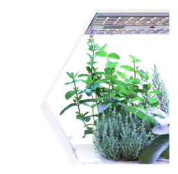 eb9836e6-5aeb-45f8-ab9b-f330ed9c3192 eb9836e6-5aeb-45f8-ab9b-f330ed9c3192