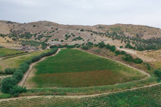 2cd9a718-7752-45d6-94e4-0f7dd0047108.jpeg