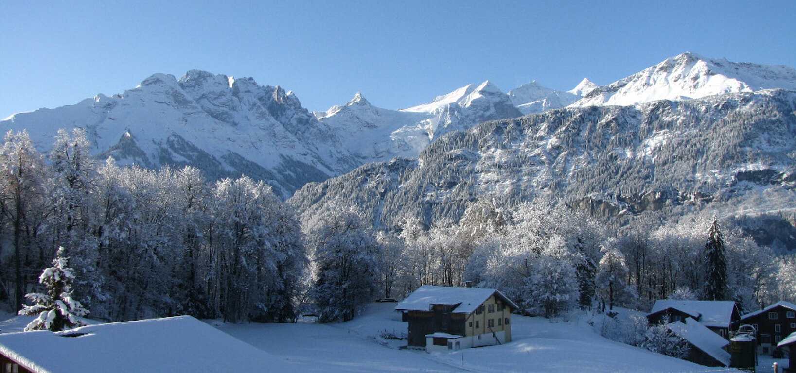 1cd9086e6d854f88b9bb9e1c7f98792f 1cd9086e6d854f88b9bb9e1c7f98792f