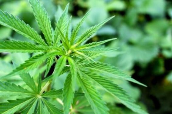 3d17d4e8-8243-4cf3-a10e-3dbc8dca5540 3d17d4e8-8243-4cf3-a10e-3dbc8dca5540