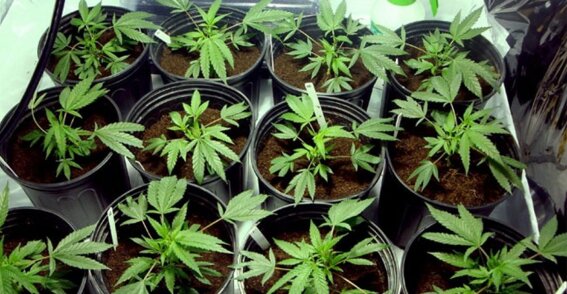 8744393e-389f-47b2-95db-95662dacd01b 8744393e-389f-47b2-95db-95662dacd01b