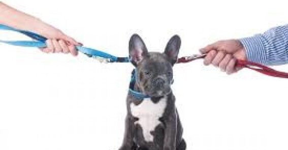 875ec627-ea8d-4914-8241-d3f8f9b56aab