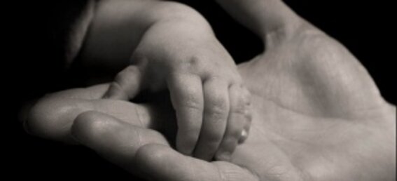 bfbda46a-7737-4c54-8690-a9aa94c2795a bfbda46a-7737-4c54-8690-a9aa94c2795a