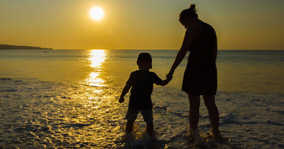 ae3f4fb5-0938-434a-9272-c4245d542445 ae3f4fb5-0938-434a-9272-c4245d542445