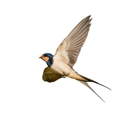 9cf80b1b-2ef8-42d2-bacf-ac035528177d