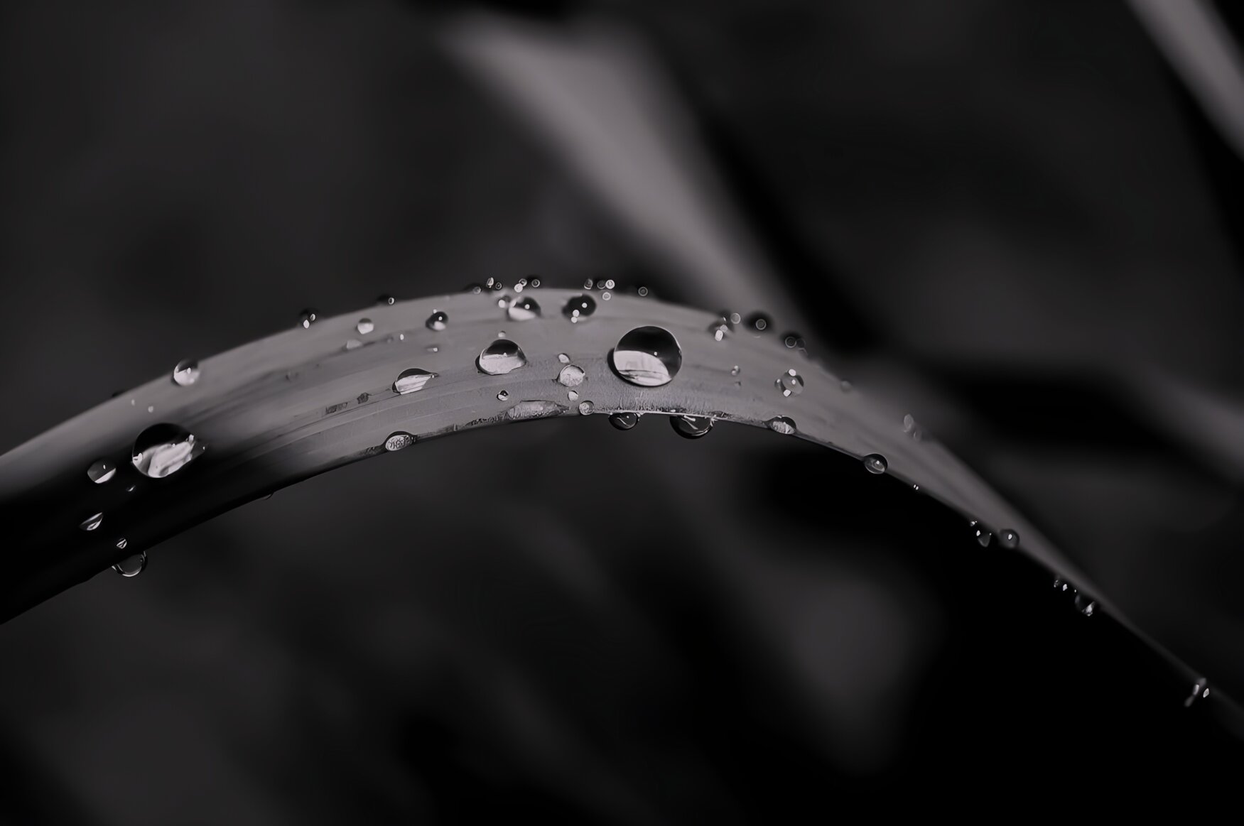 3daf7584-3b5b-46f5-b261-0a3cf696630c 3daf7584-3b5b-46f5-b261-0a3cf696630c