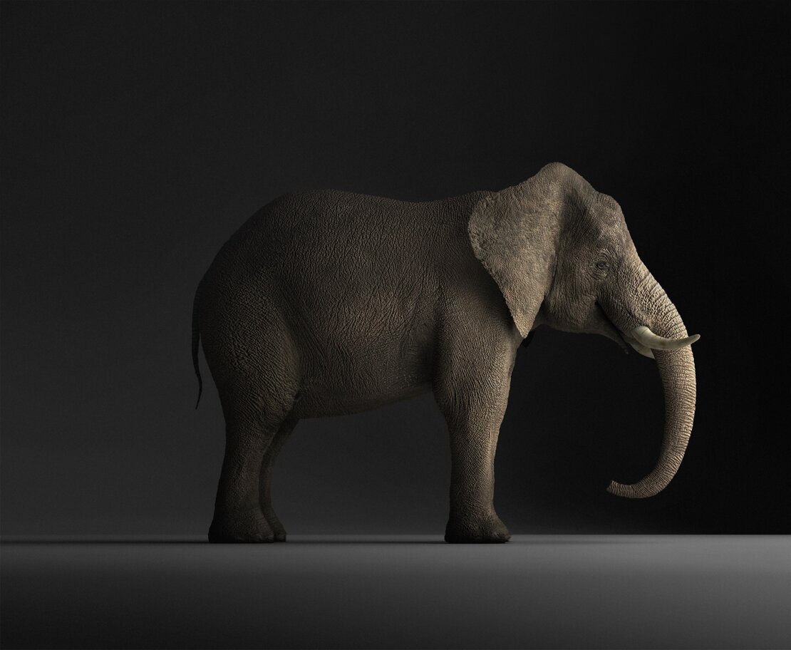 183537e2-9484-4369-9986-dc5c142250f7 183537e2-9484-4369-9986-dc5c142250f7