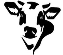 bc4f90cd-aed5-4c6b-9ad4-96ccac986b22