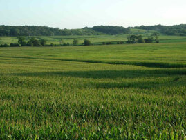 3367fc44-74c0-41f0-946d-24106277d8c9