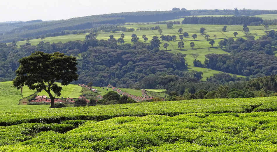 1a87699c-c686-4d6b-b232-7305160b64d1