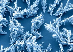 77c60e90-ea2b-41dd-807b-7980f4a4f415