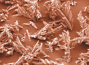 25e2689a-9c51-4715-a8d1-256b379a4a8d