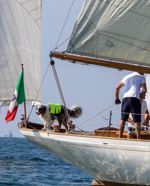 eyJlbiI6IiJ9 eyJlbiI6IiJ9