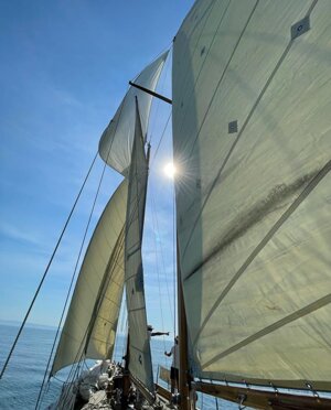 eyJlbiI6IiJ9 eyJlbiI6IiJ9