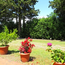 Garden Garden