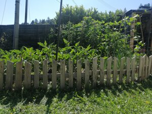 img_20250809_110034(2).jpeg