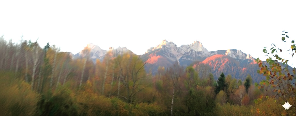 vigolana header 4.1