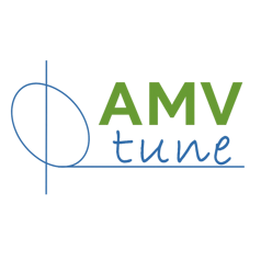 amv 06